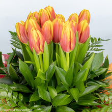 Load image into Gallery viewer, Bella No1206