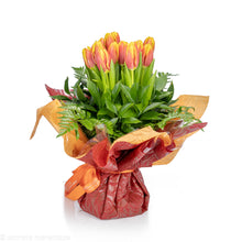 Load image into Gallery viewer, Bella No1206