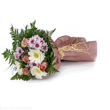 Load image into Gallery viewer, Fields Of Europe No1317