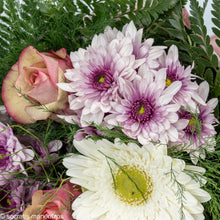 Load image into Gallery viewer, Fields Of Europe No1317