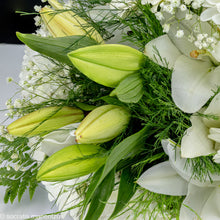 Load image into Gallery viewer, Touch of Love No1315