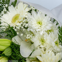 Load image into Gallery viewer, Touch of Love No1315