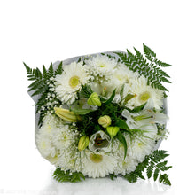 Load image into Gallery viewer, Touch of Love No1315