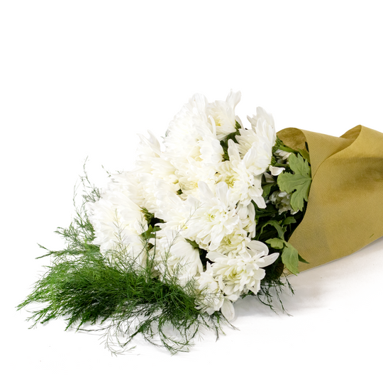 Bouquet of white flowers wrapped in green paper with a yellow ribbon on a white background