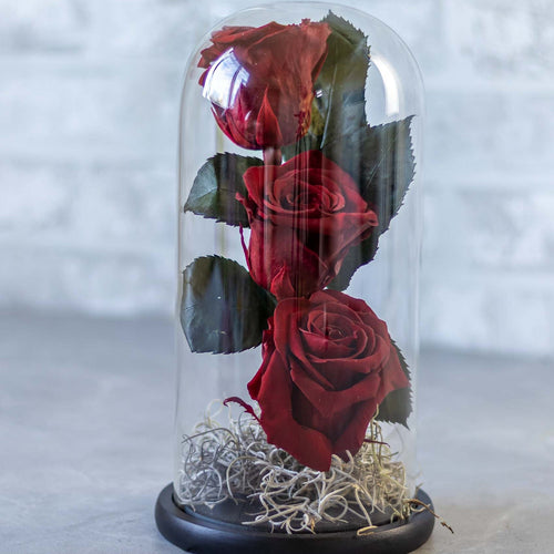 Three red roses in a glass dome on a gray surface with a blurred background