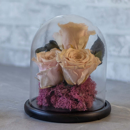 Glass dome with preserved flowers on a wooden surface