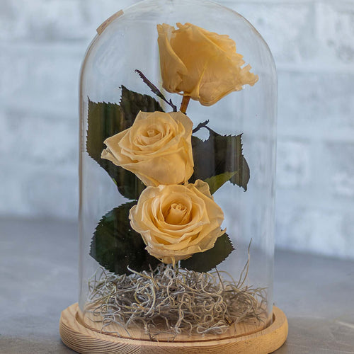 Three yellow roses inside a glass dome on a wooden base with a blurred background
