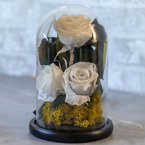 Decorative display of preserved roses under a glass dome on a wooden surface.