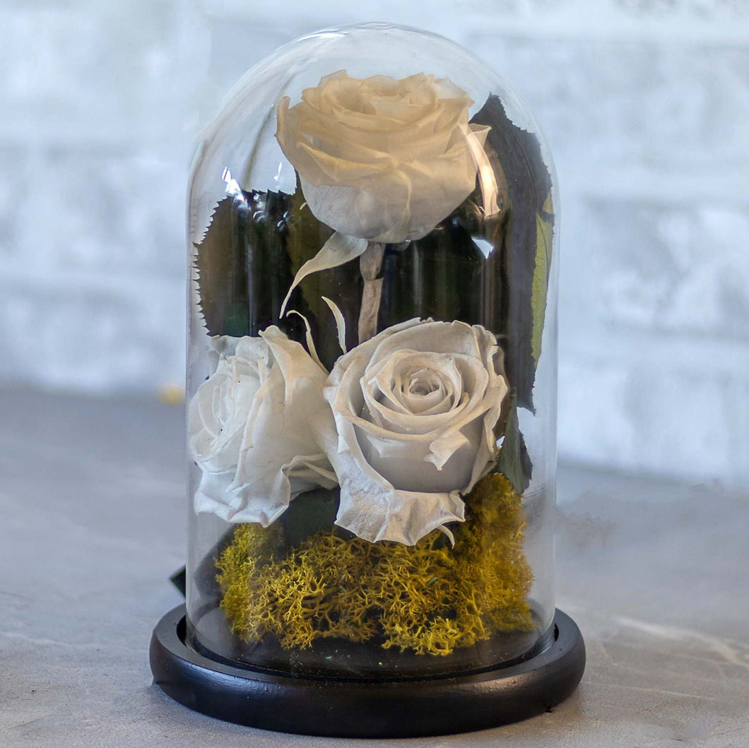 Decorative display of preserved roses under a glass dome on a wooden surface.