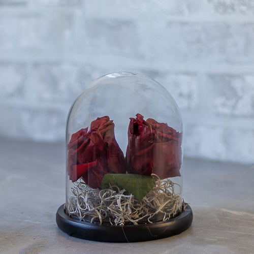 Two red roses in a glass dome on a stone surface with a blurred background