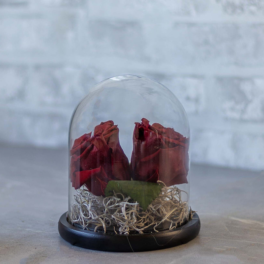 Two red roses in a glass dome on a stone surface with a blurred background