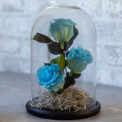Glass dome with blue roses on a wooden surface and brick wall background