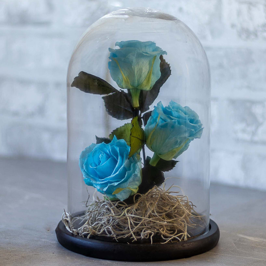 Glass dome with blue roses on a wooden surface and brick wall background