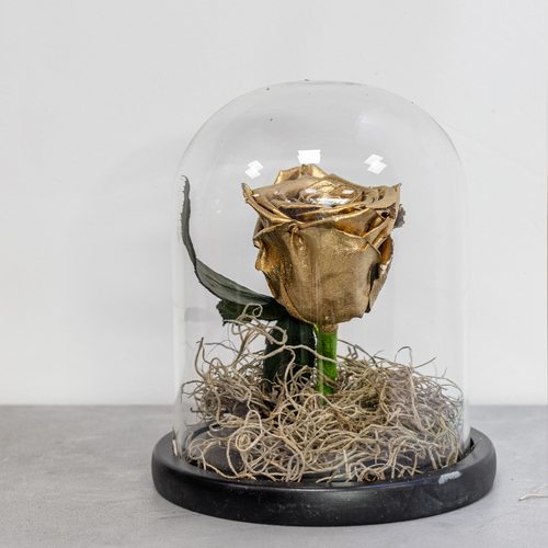 Gold rose inside a glass dome on a gray surface with a blurred background