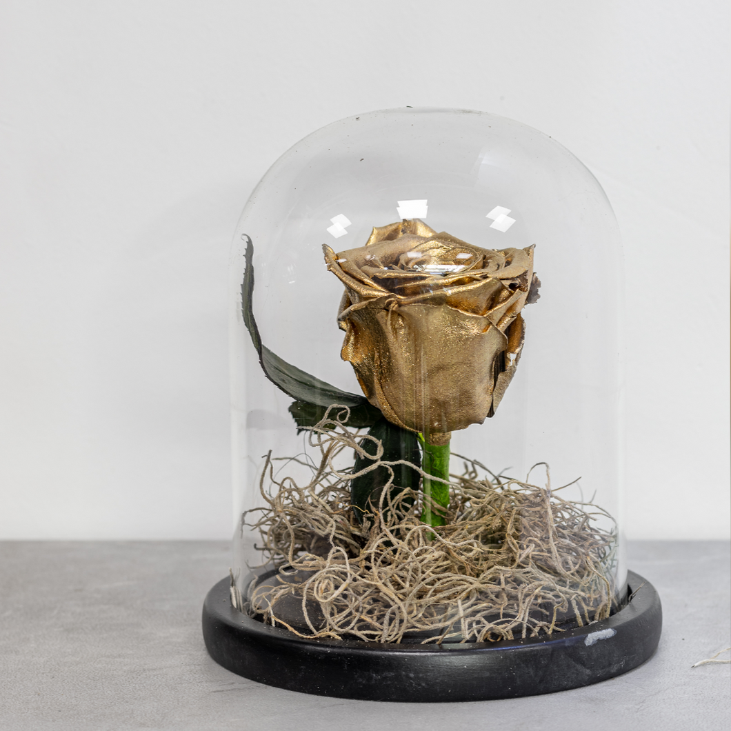 Gold rose inside a glass dome on a gray surface with a blurred background