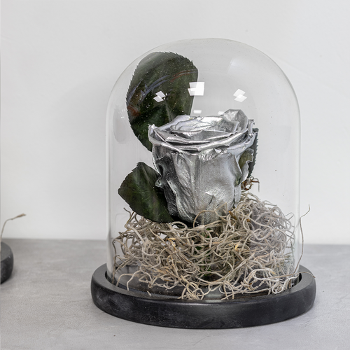 Silver rose in a glass dome on a white surface