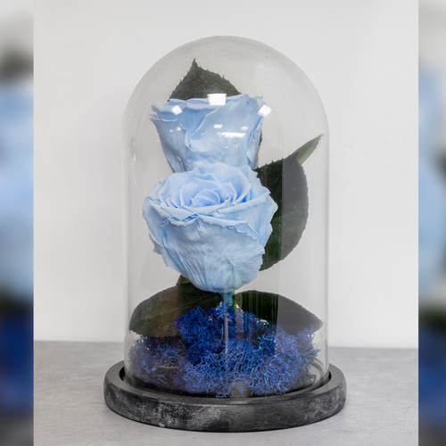 Blue rose and butterfly inside a glass dome on a gray surface with a blurred background