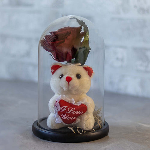 Small teddy bear with a heart-shaped 'I Love You' card under a glass dome on a neutral background