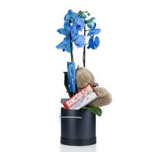 Load image into Gallery viewer, Valentine Blue Orchid
