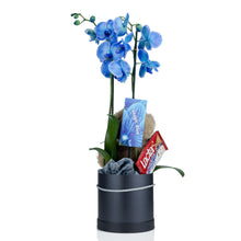 Load image into Gallery viewer, Valentine Blue Orchid
