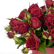 Load image into Gallery viewer, Color of Love
