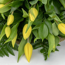 Load image into Gallery viewer, Easter Parade No1323
