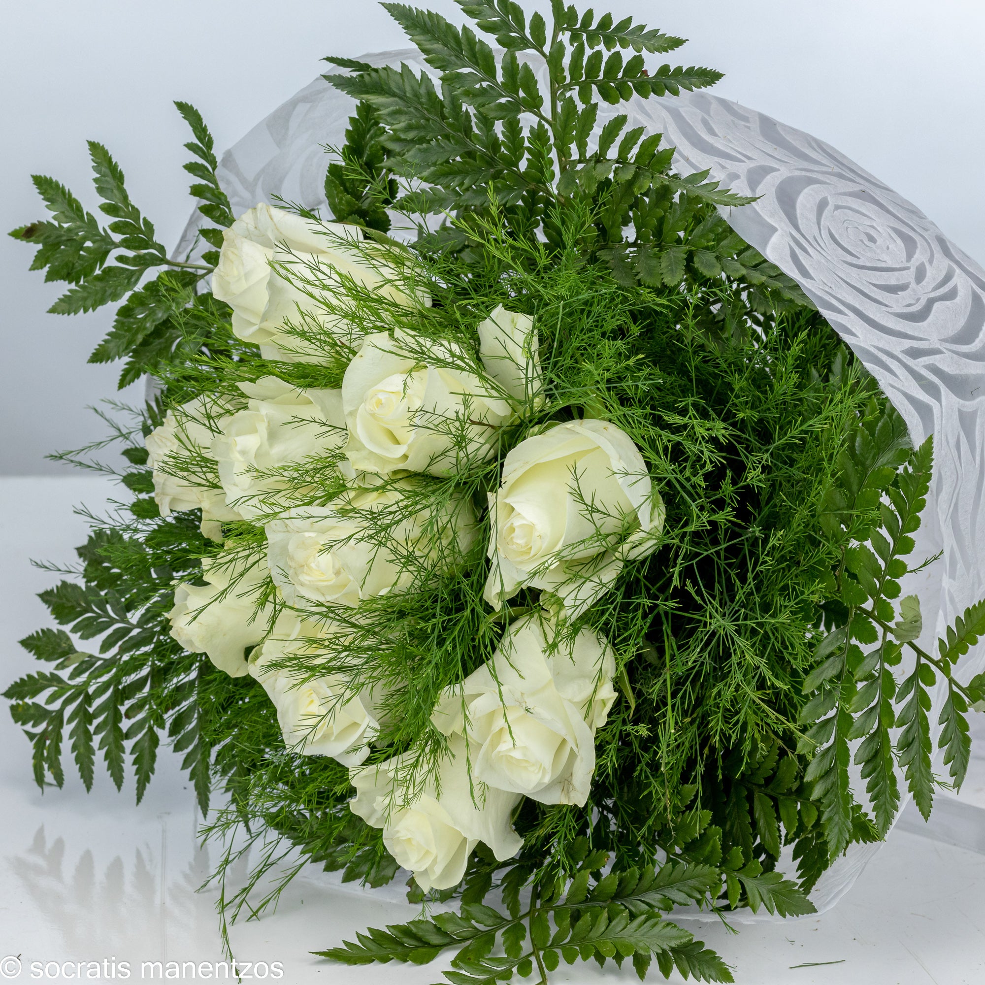 Familial Love No1308