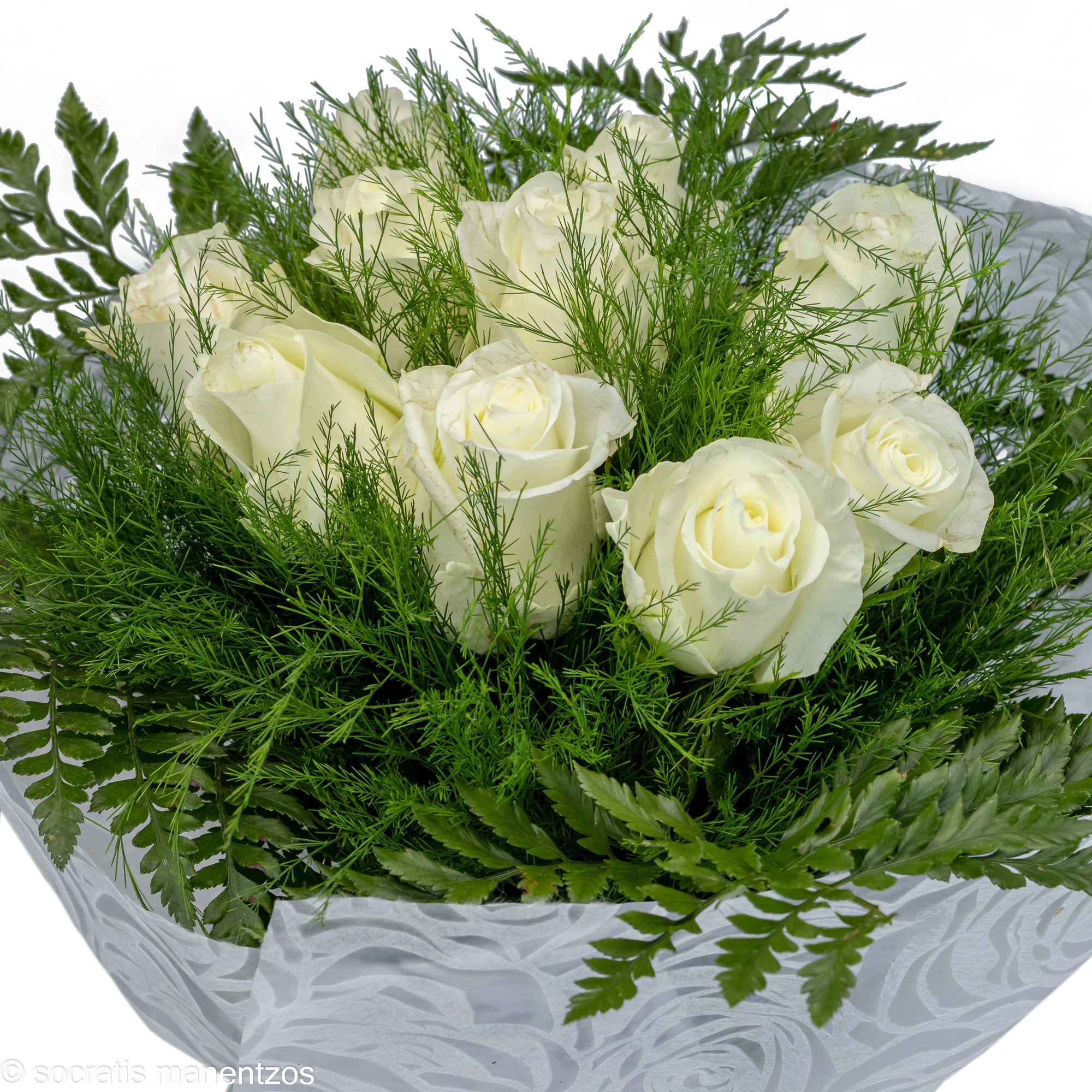 Familial Love No1308