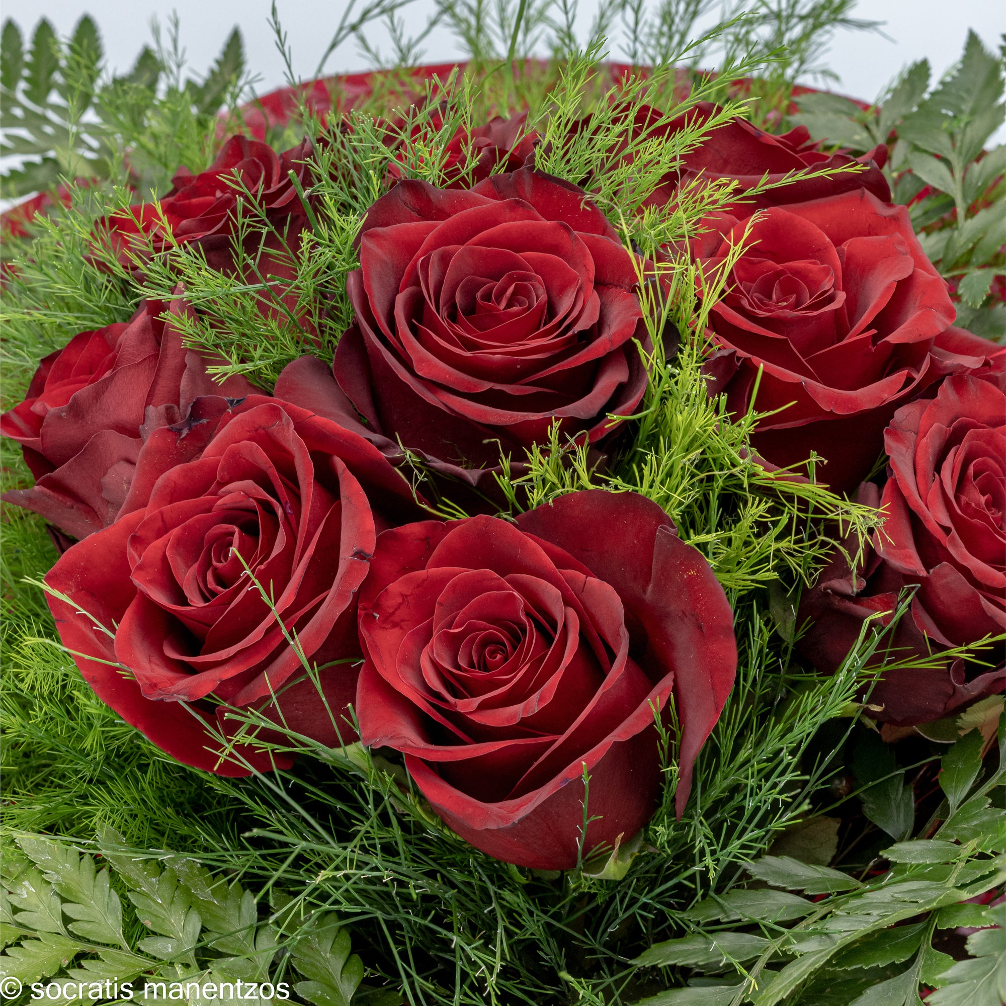 Magical Romance No1312