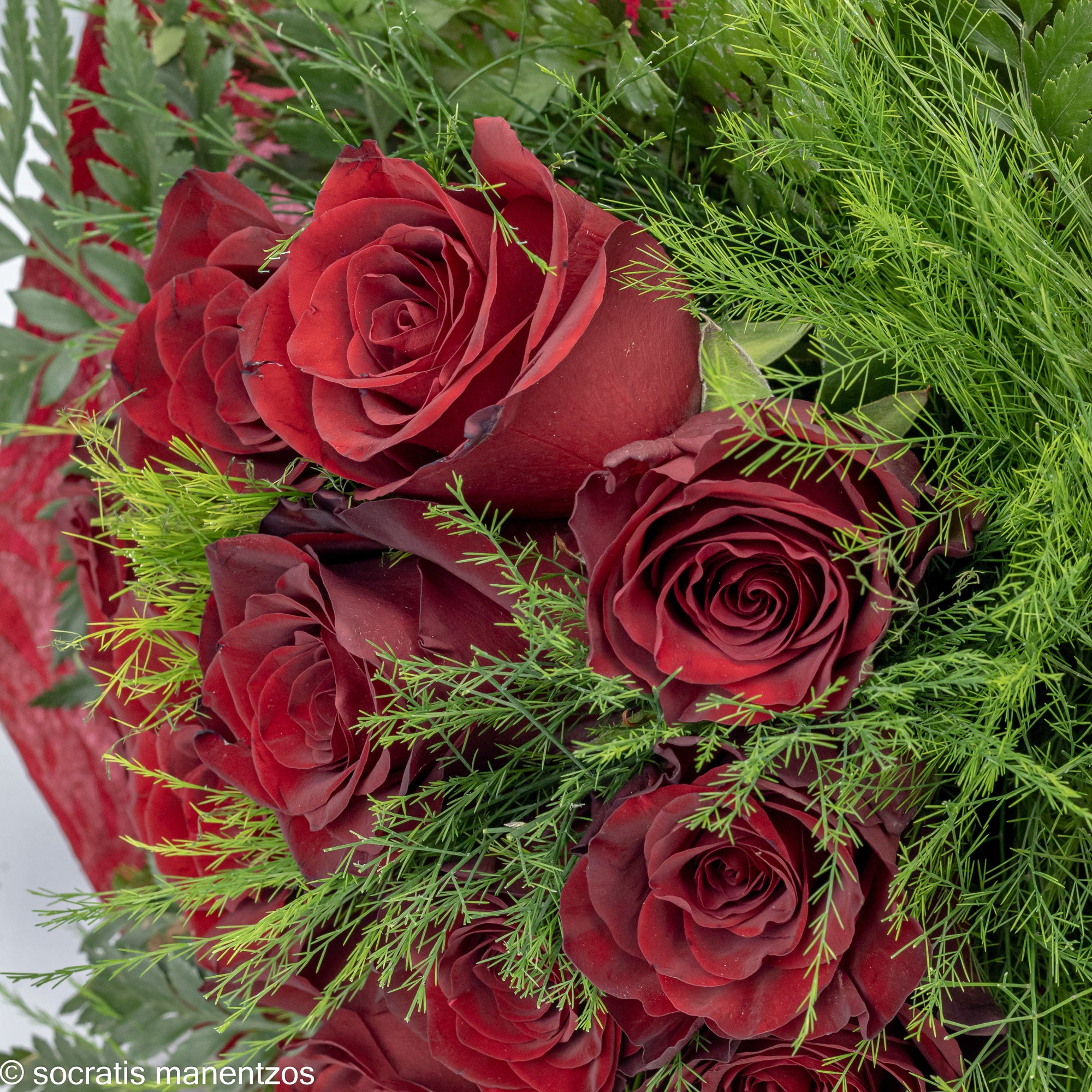 Magical Romance No1312