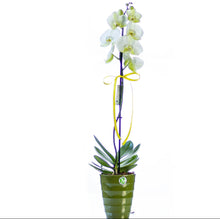 Load image into Gallery viewer, One stem White Orchid
