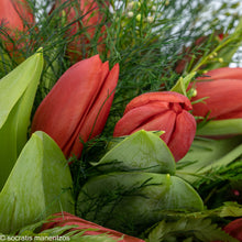 Load image into Gallery viewer, Passionately Yours No1324
