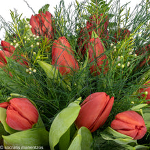 Load image into Gallery viewer, Passionately Yours No1324
