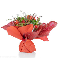 Load image into Gallery viewer, Red Hot Love
