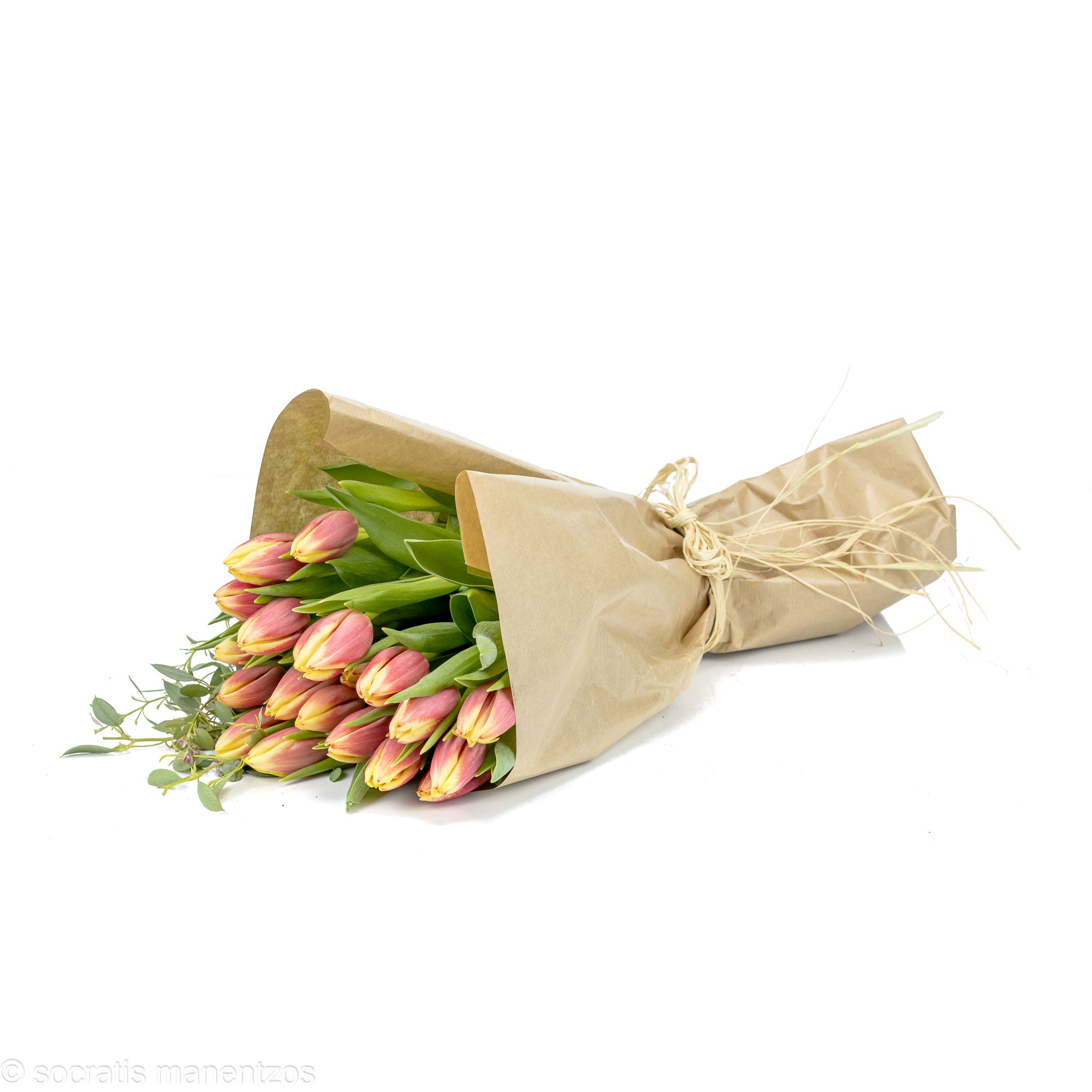 Tulip Delight No1326