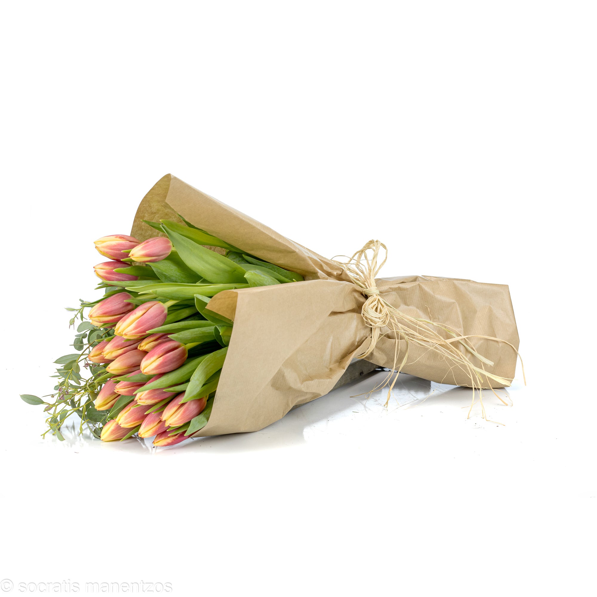 Tulip Delight No1326