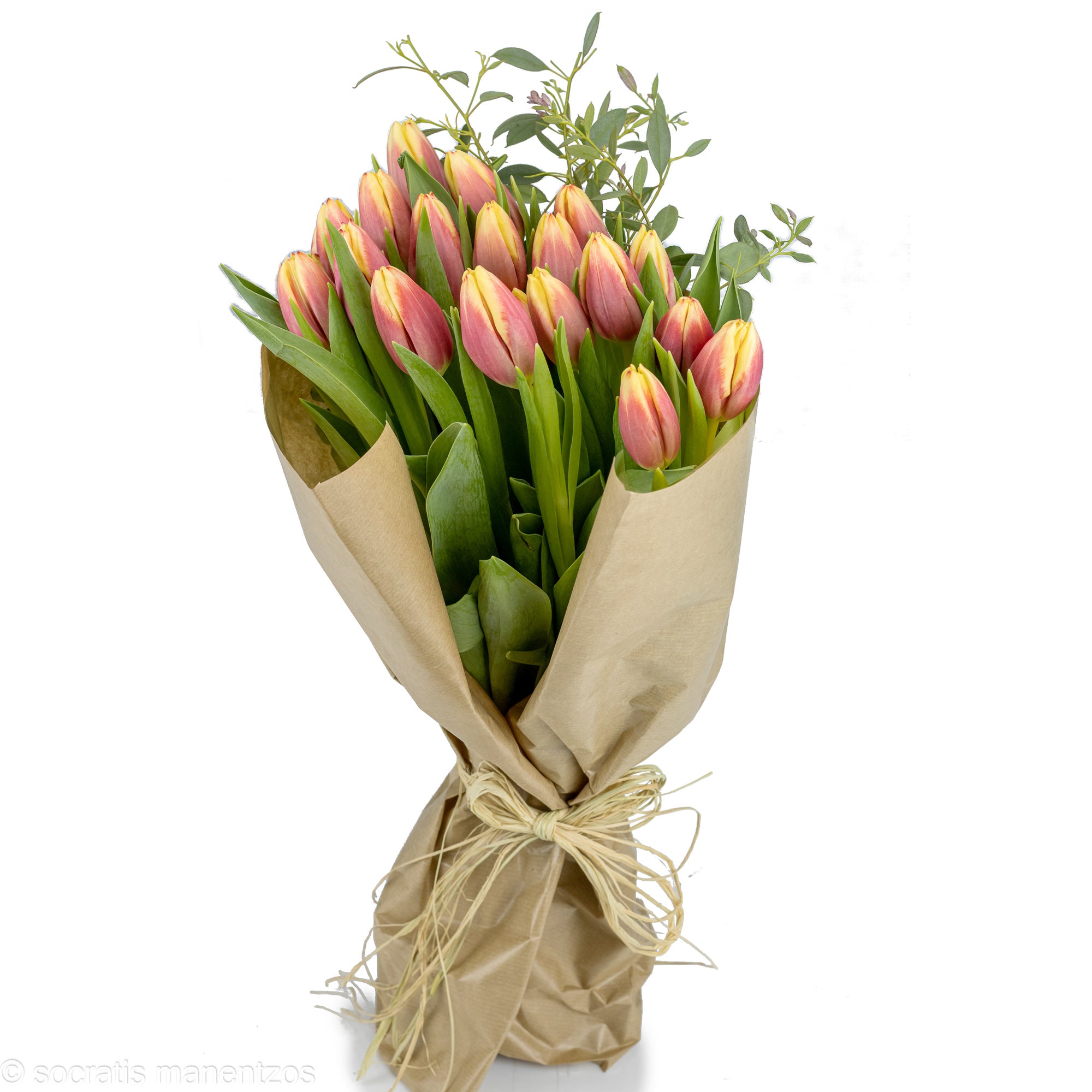 Tulip Delight No1326