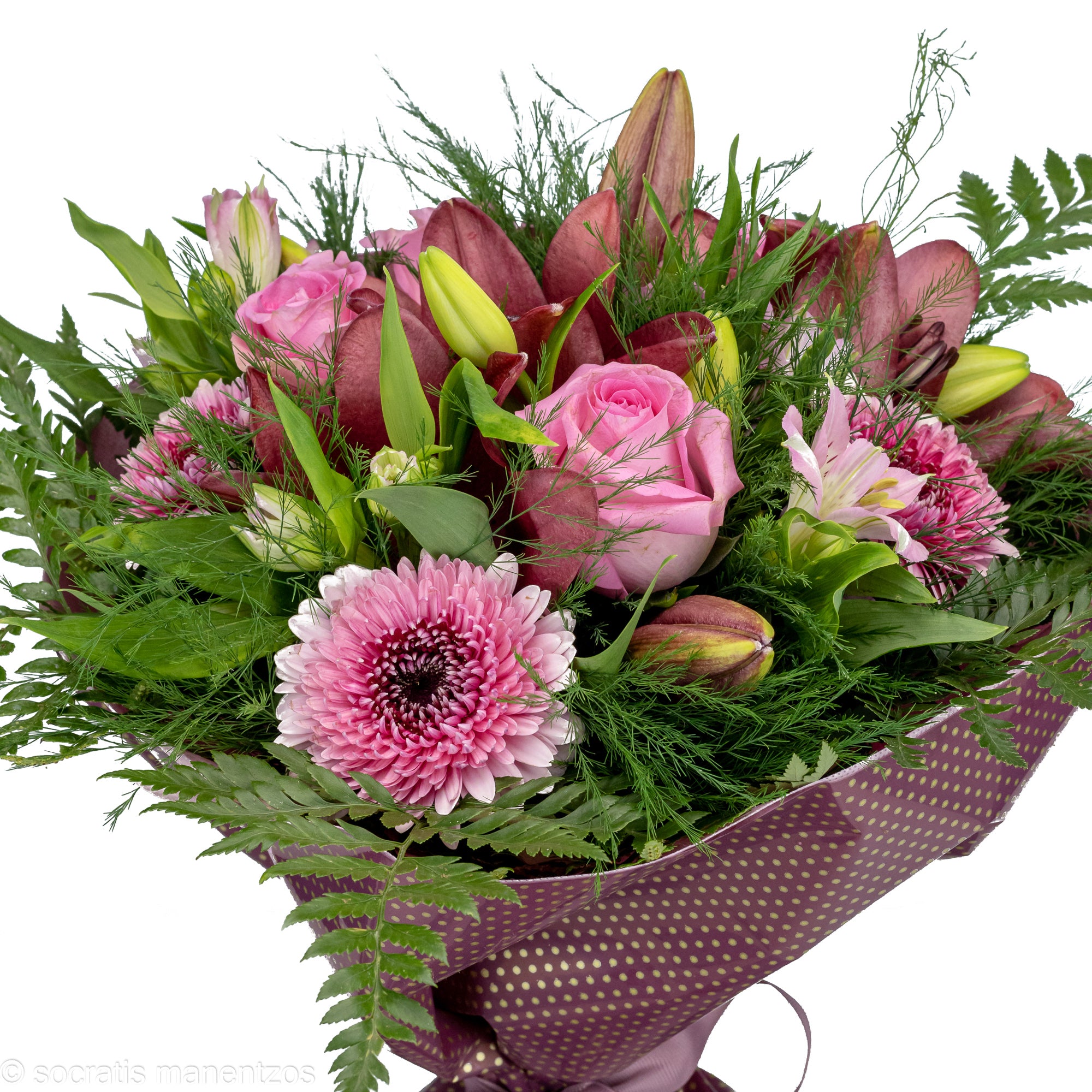 Untamed Beauty No1316