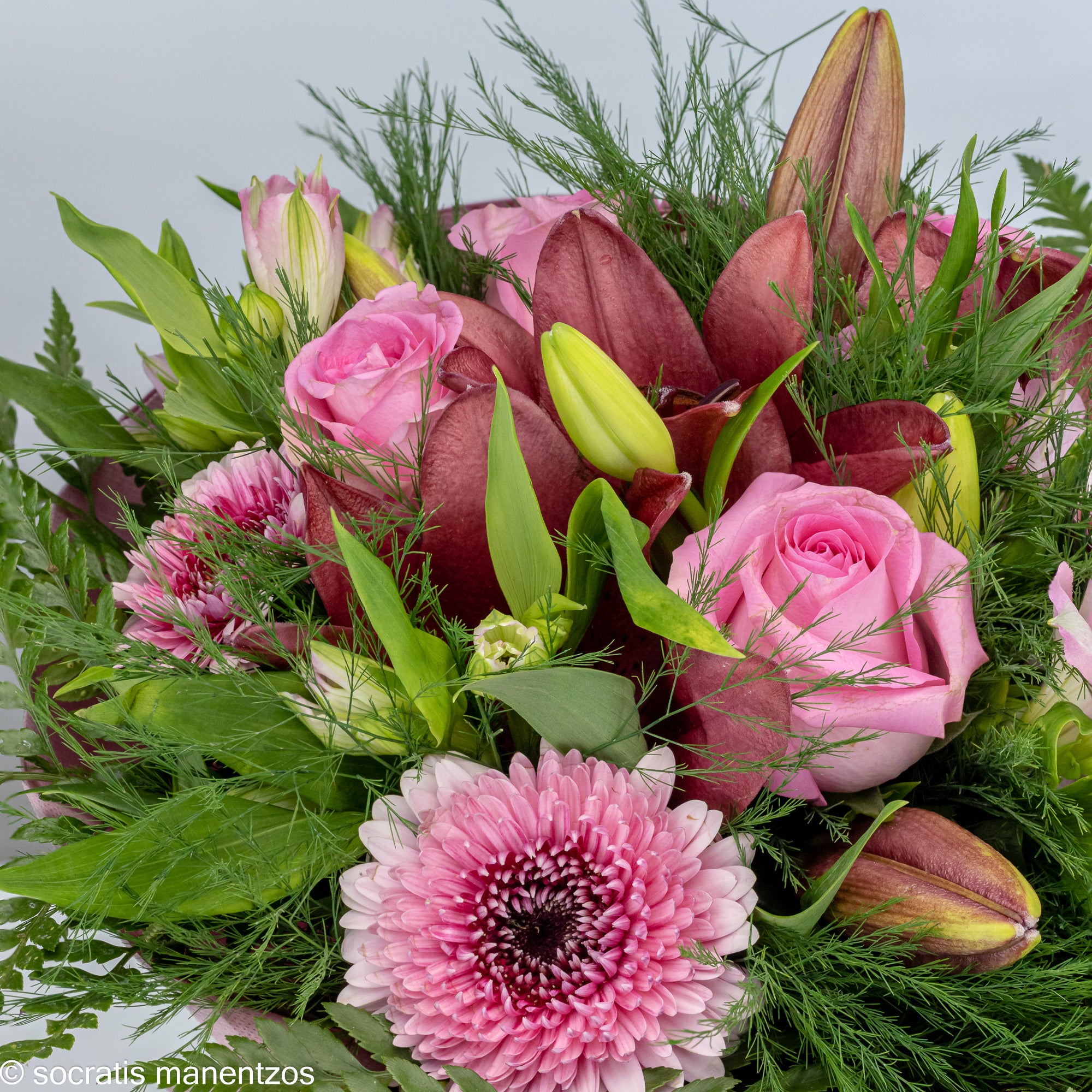 Untamed Beauty No1316