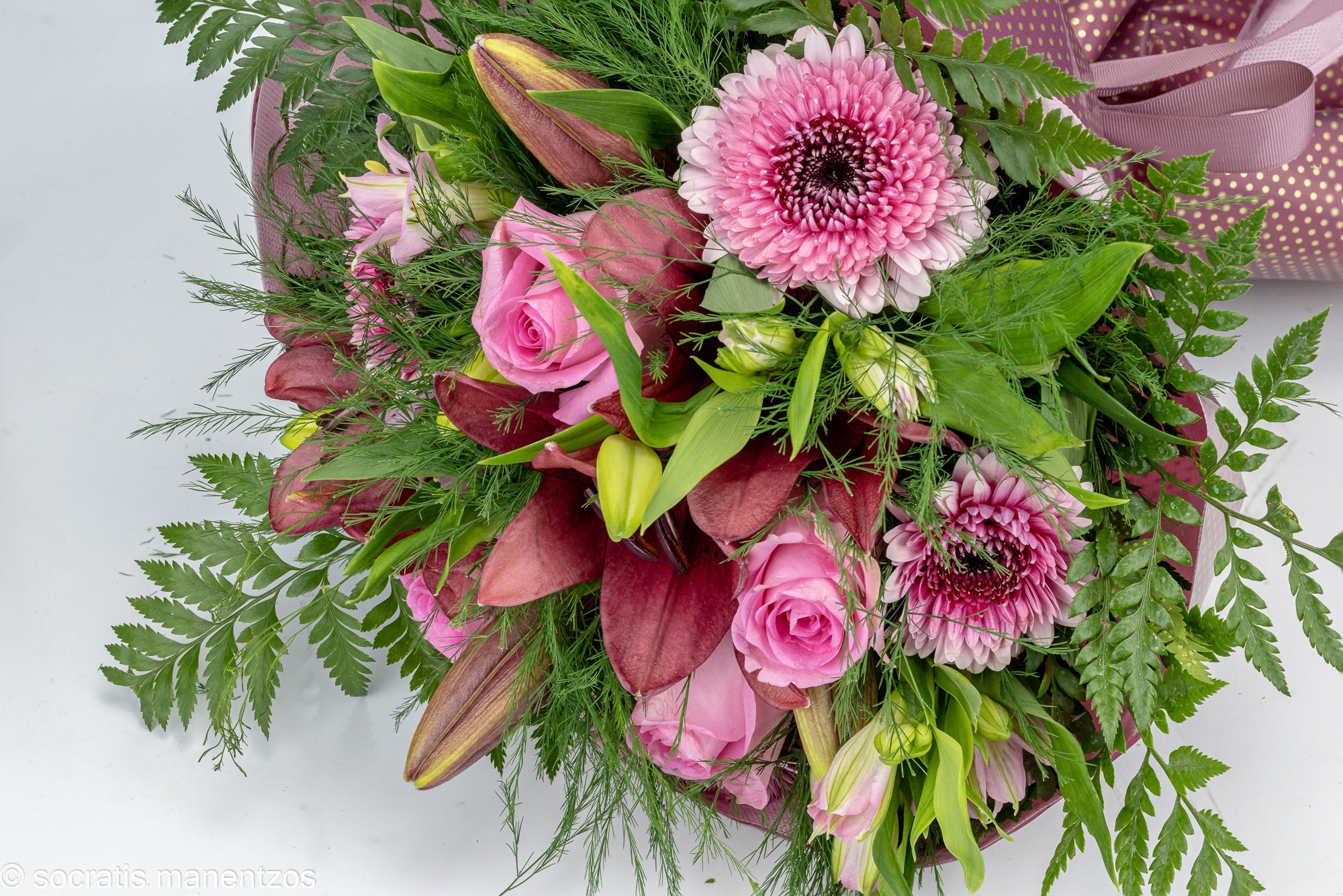 Untamed Beauty No1316