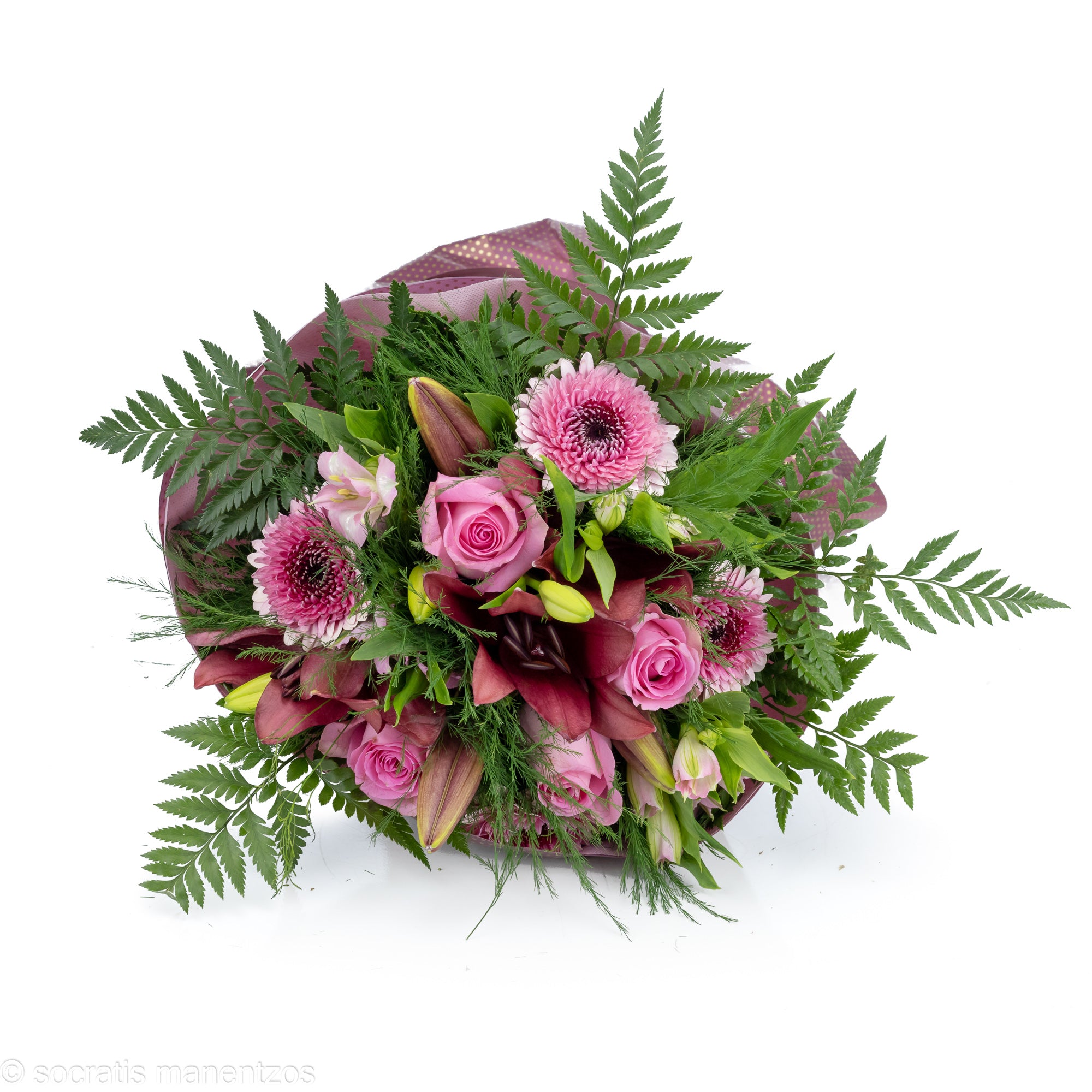 Untamed Beauty No1316