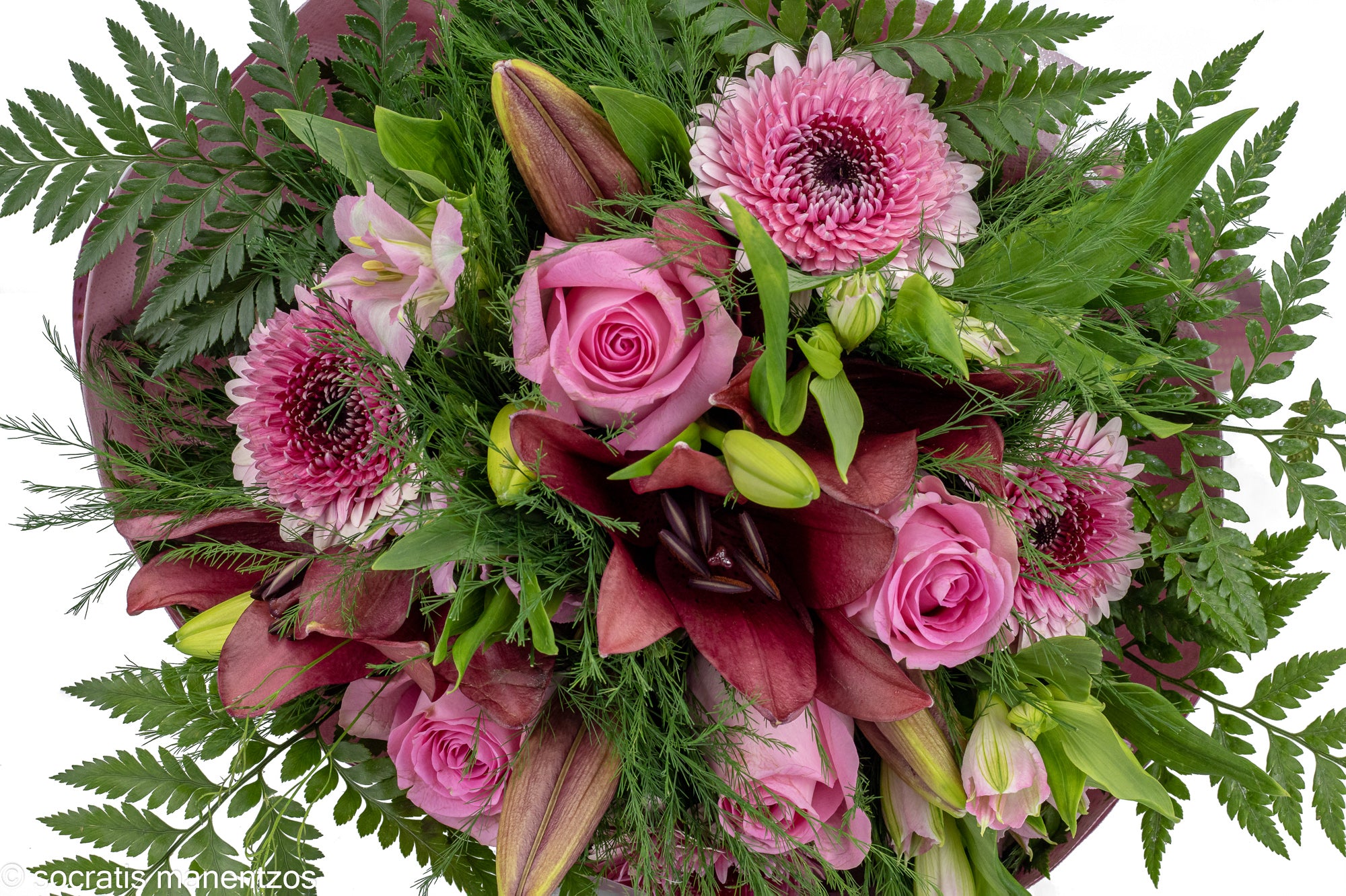 Untamed Beauty No1316